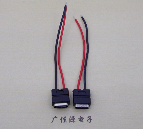 河北type c2p防水母座焊线式带线注塑成型带接线端子/不带接线端子充电连接器